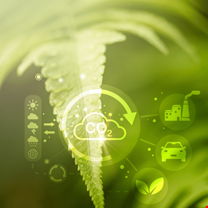 Avrupa Yeşil Mutabakatı, SKDM ve Karbon Ayak İzi Hesaplama Bilgi Notu